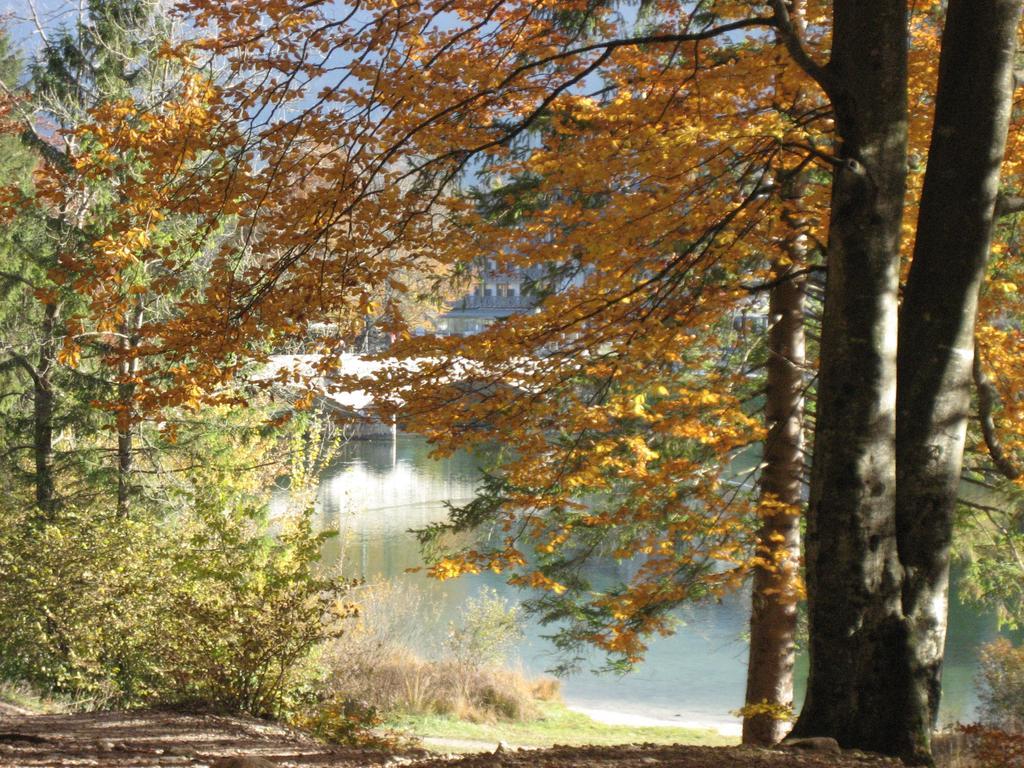 Apartments Pod Rodico Bohinjska Bistrica Quarto foto
